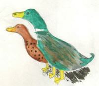 ducks painted by a child