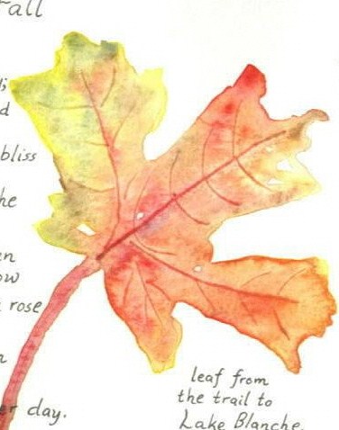 paint a leaf