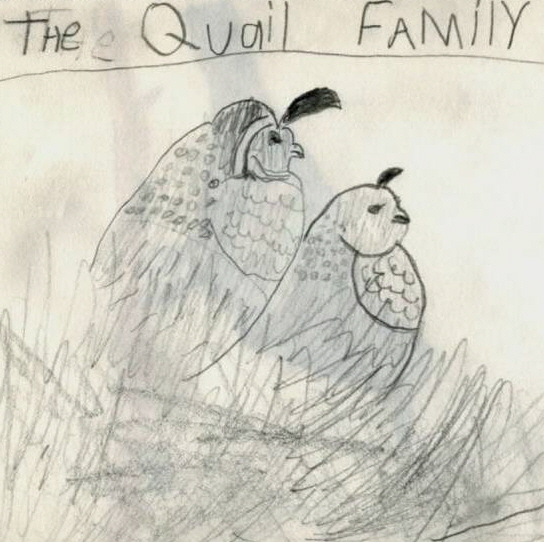 child's drawing of quail